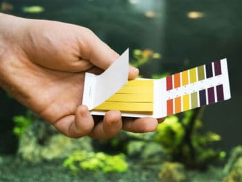 Best Aquarium Test Kits and Strips