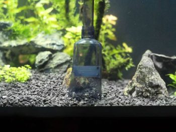 Best aquarium vacuum cleaner