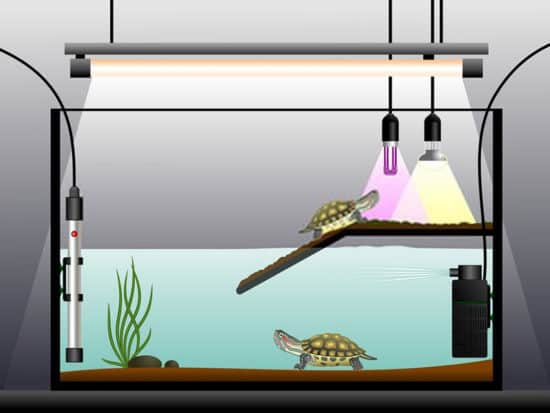 Best turtle tank filter buying guide