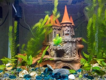 Best Aquarium Air Pumps